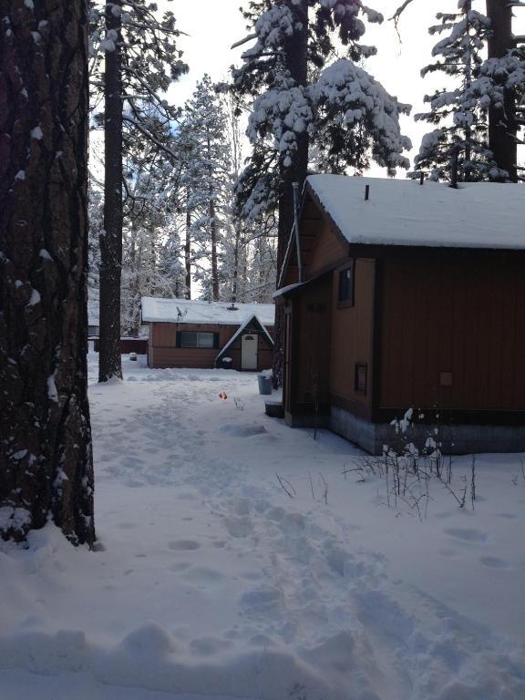 Majestic Moose Lodge - Coptic Village Big Bear Lake Bagian luar foto