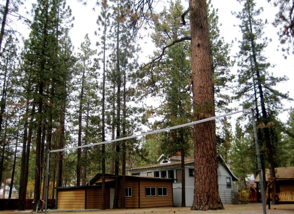 Majestic Moose Lodge - Coptic Village Big Bear Lake Bagian luar foto